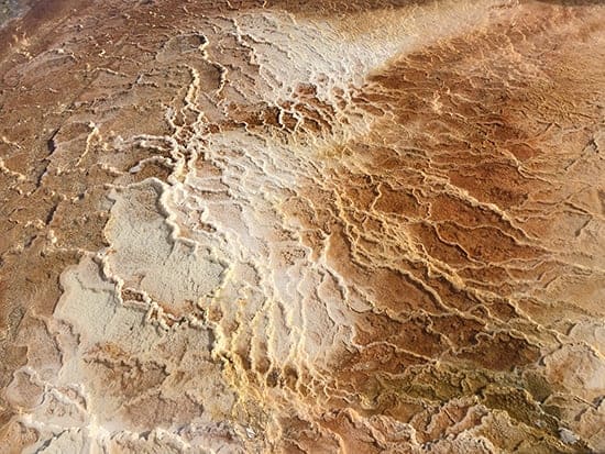 Shew Design - texture