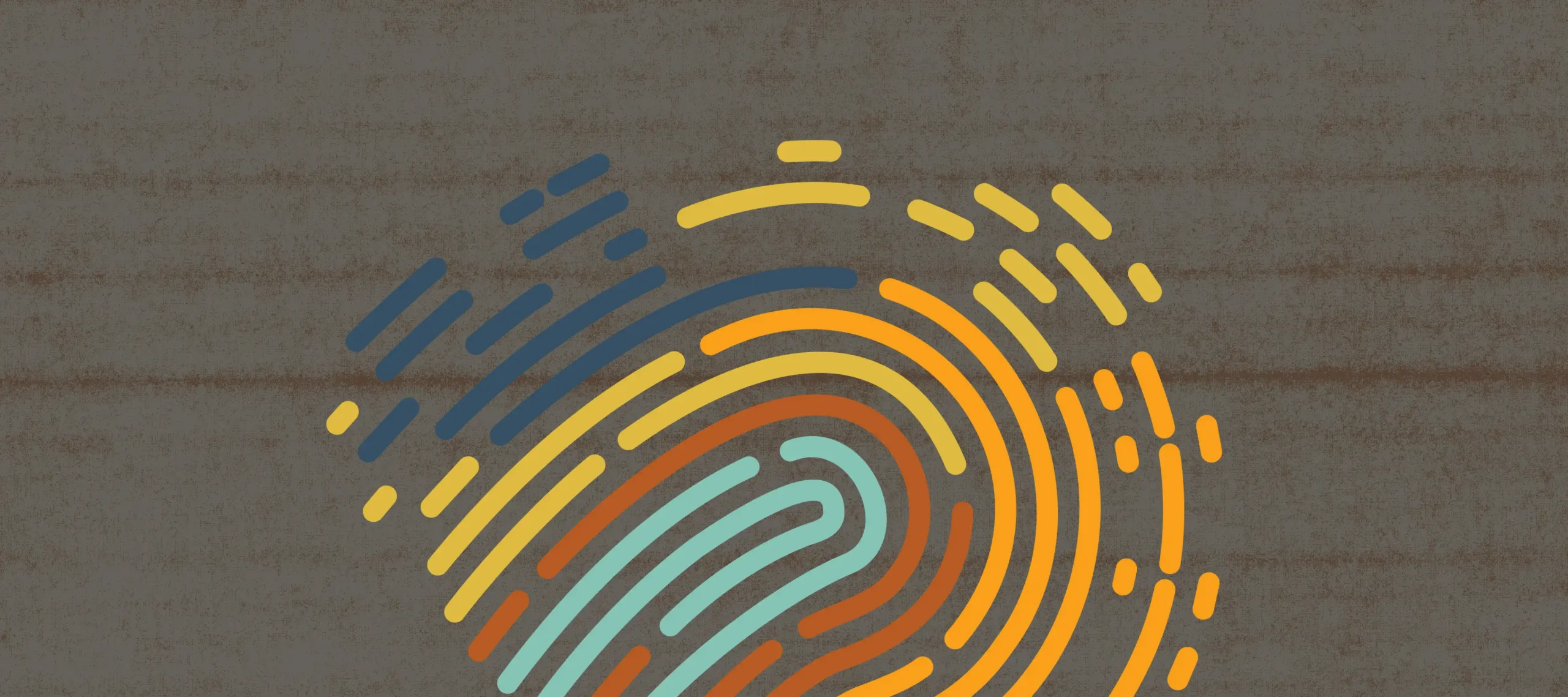what is brand identity