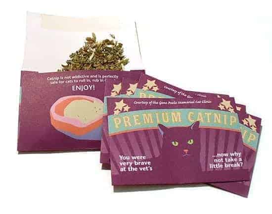 cat clinic catnip envelopes