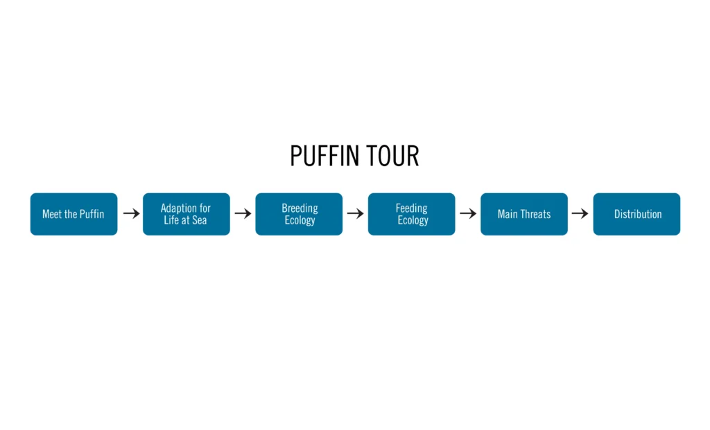 world puffin congress website design process - tour