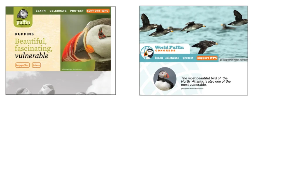 world puffin congress website design process - design options